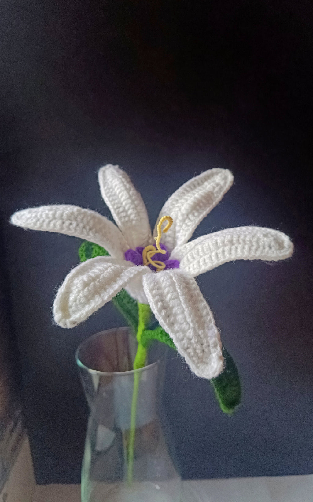 Crochet - White Sundrop Lily