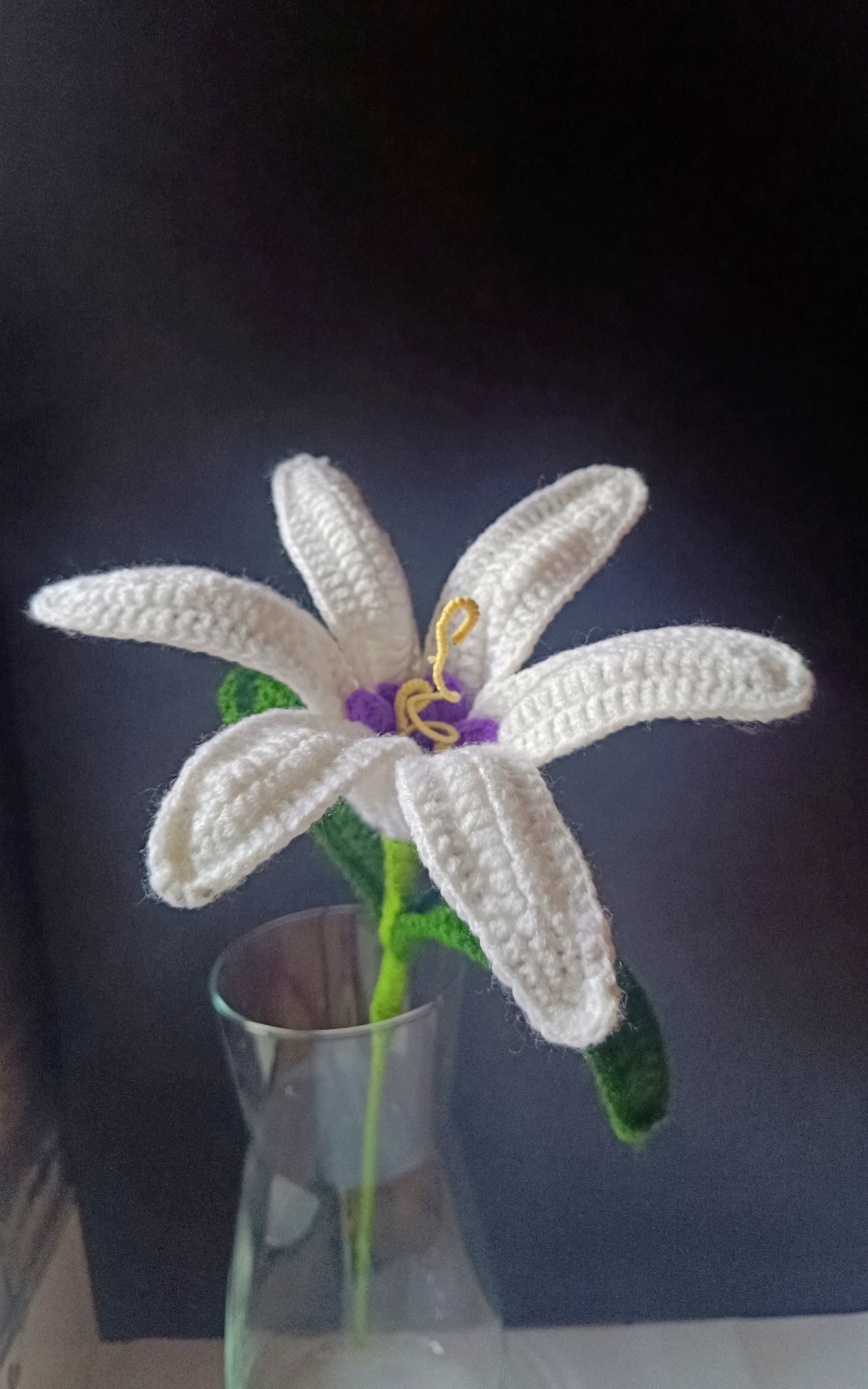 Crochet - White Sundrop Lily